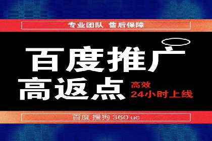 SEM投放策略：成功案例解析